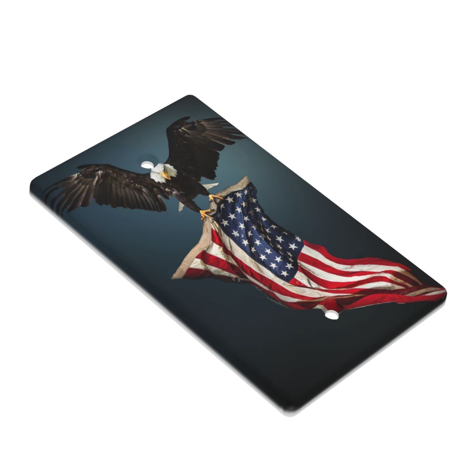 アメリカ　星条旗　ハクトウワシ　アメリカ空軍　ラグ　カバー 176×118 Amazon.co.jp: アメリカ国旗 ハクトウワシのタペストリー 星条旗 空白